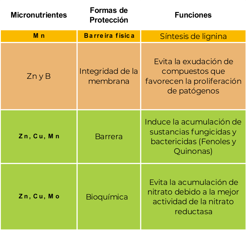 tabla con los micronutrientes necesarios para la protección de las plantas